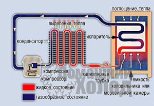 Схема однокамерного холодильника