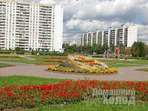 Ремонт холодильников в Вешняках